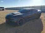 CAMARO LT1