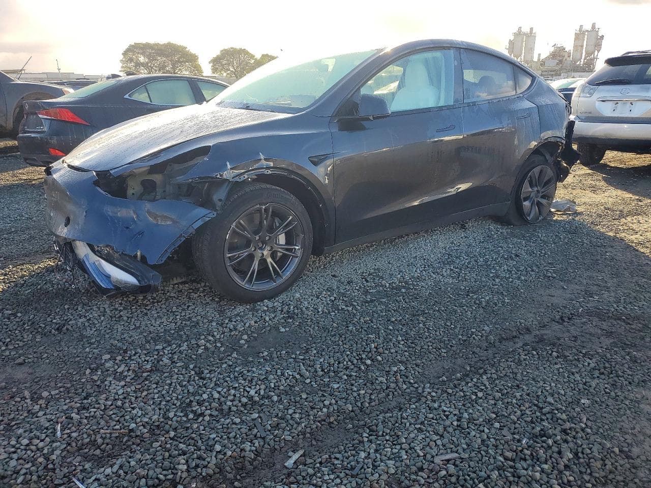MODEL Y