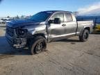 TUNDRA