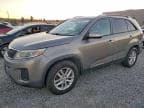 SORENTO