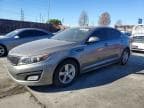 OPTIMA