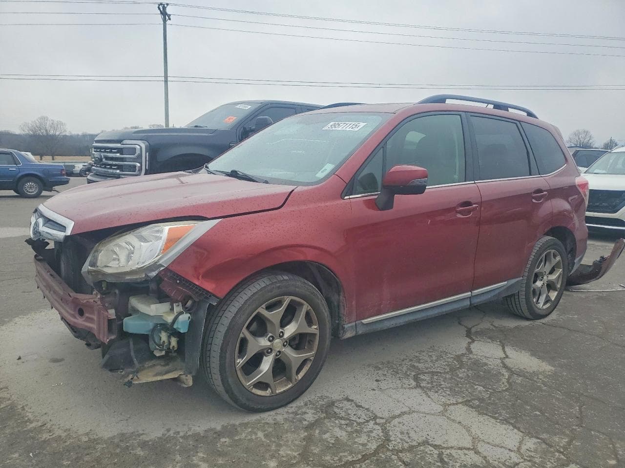 FORESTER