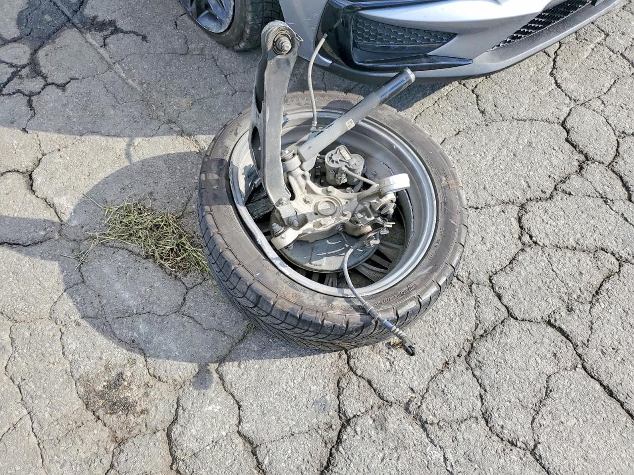 Foto 13