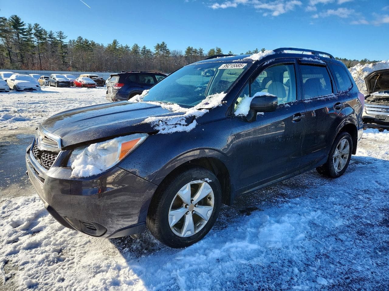 FORESTER