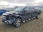 F-150
