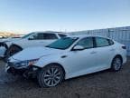 OPTIMA