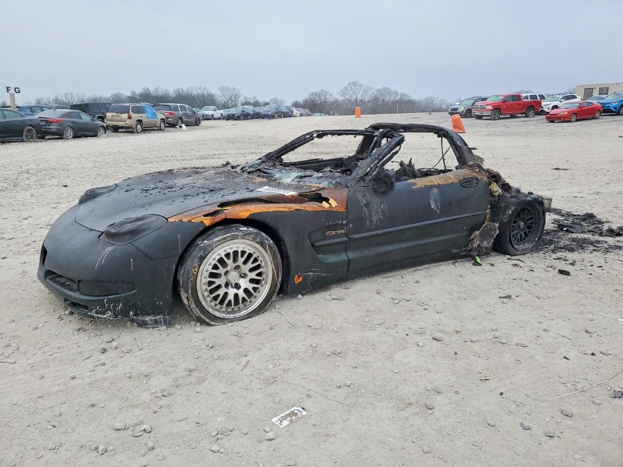 CORVETTE