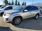 SORENTO
