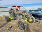 RZR PRO R