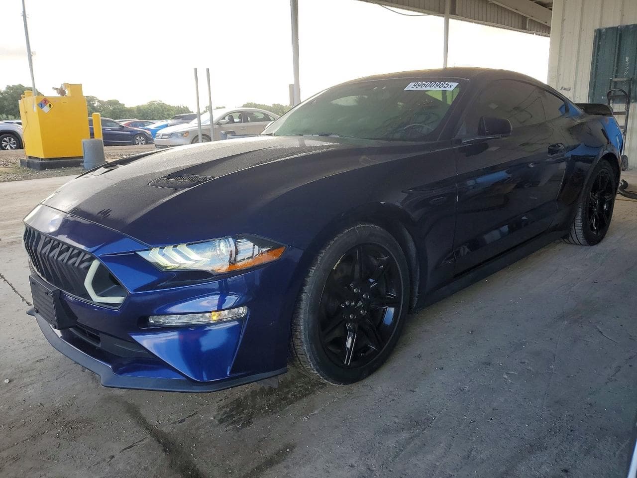 MUSTANG