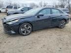 ELANTRA