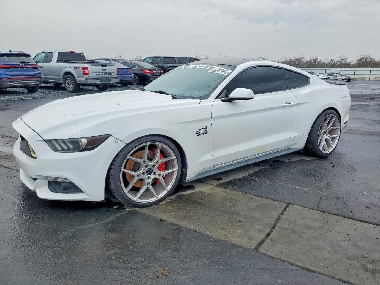 MUSTANG
