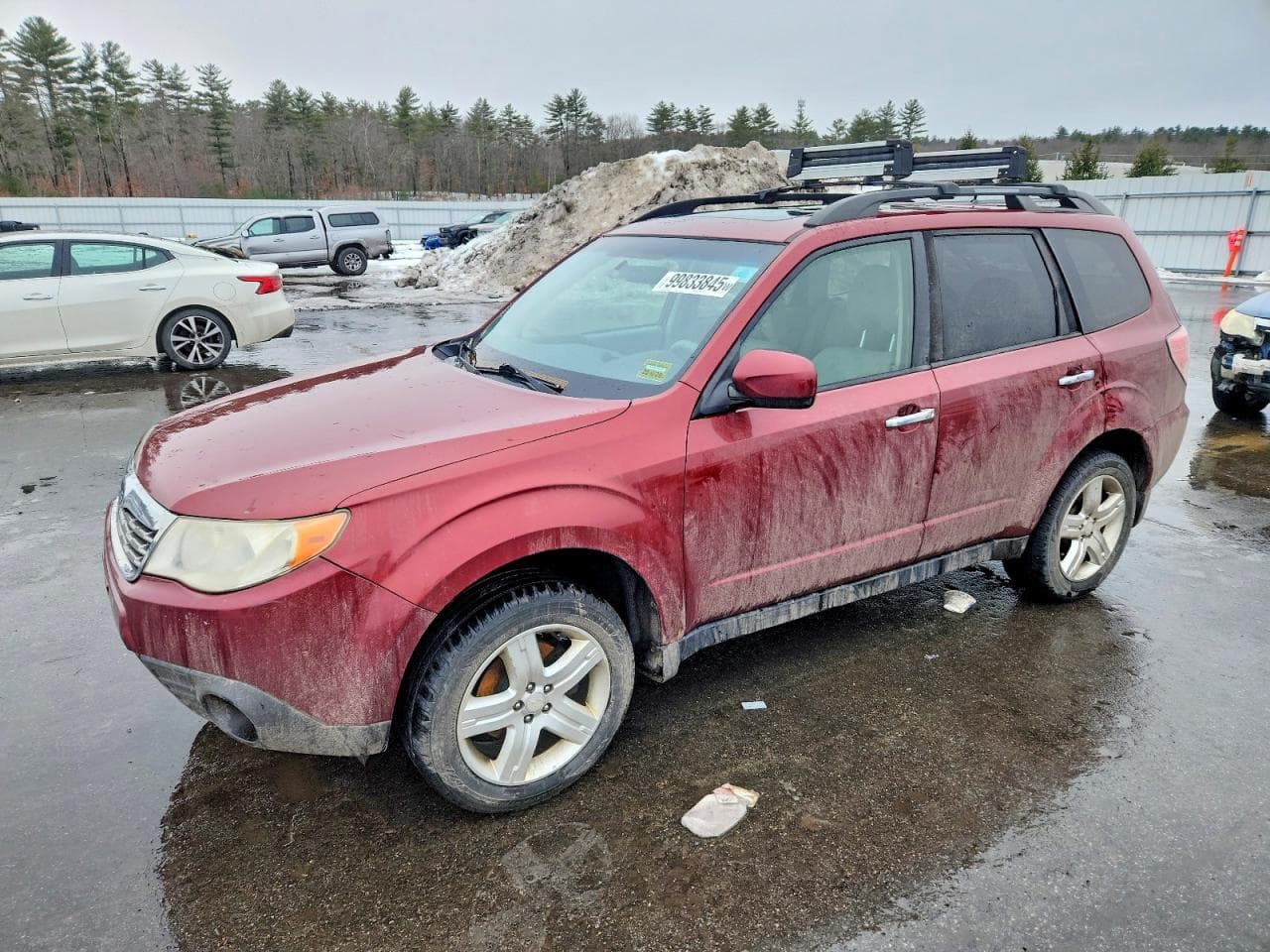 FORESTER