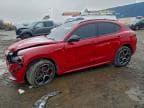 STELVIO