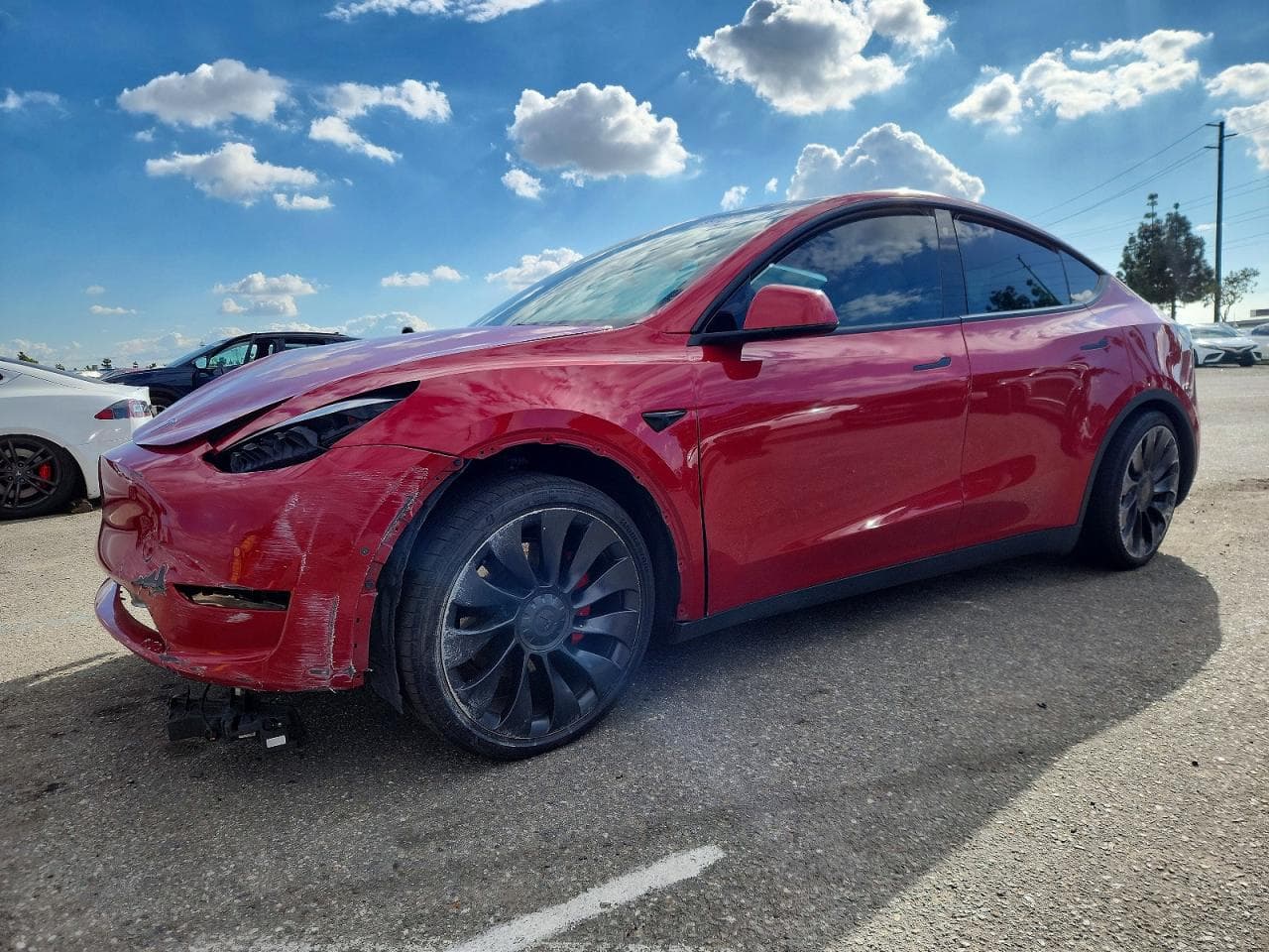 MODEL Y