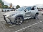 NX 350H
