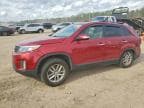 SORENTO