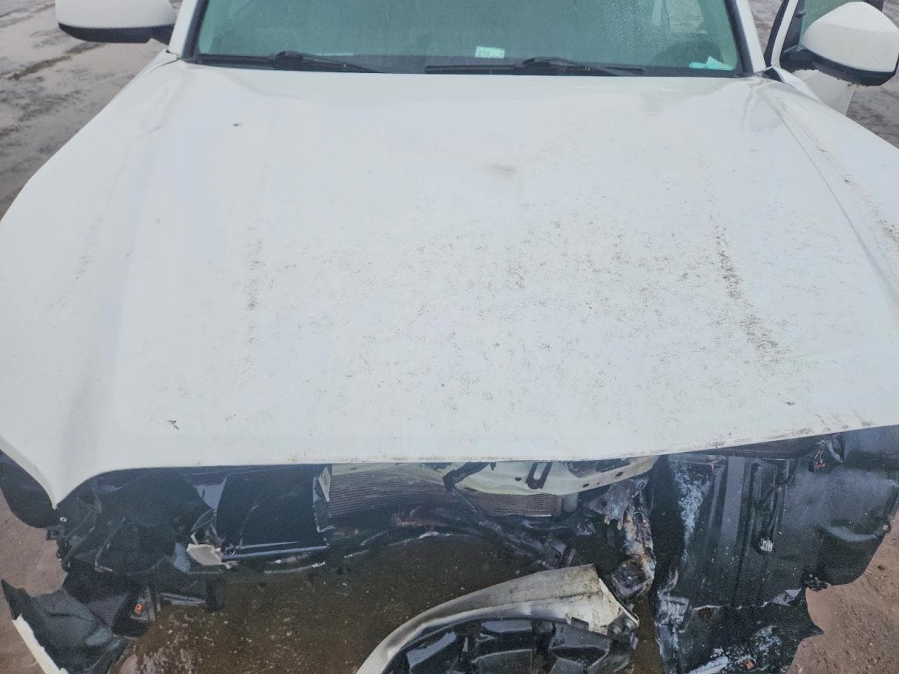 Foto 11