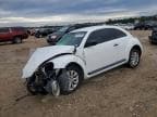BEETLE