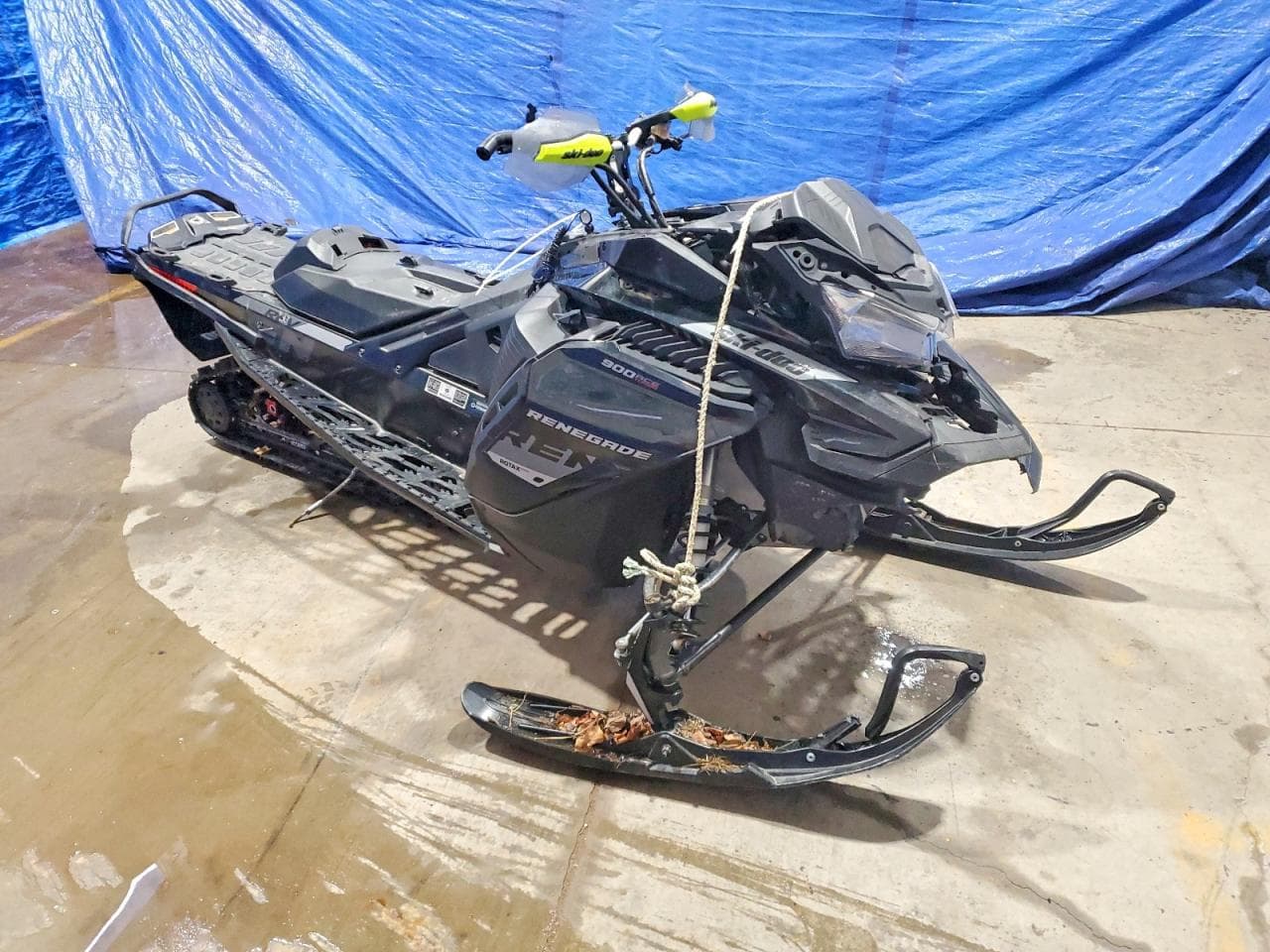 RENEGADE