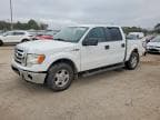 F-150