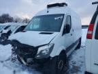SPRINTER