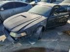 MUSTANG