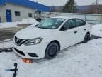 SENTRA