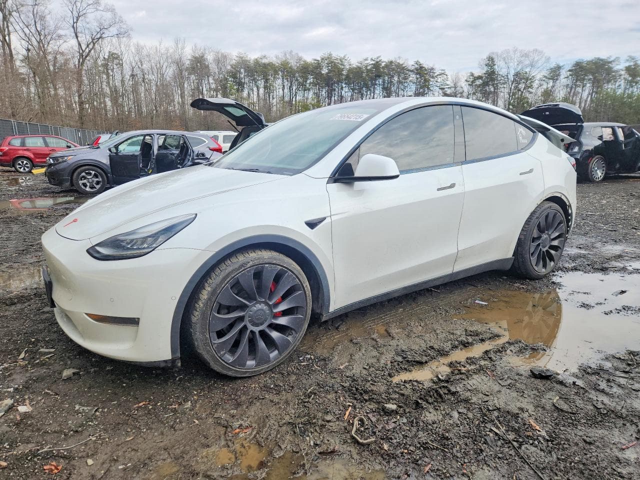 MODEL Y