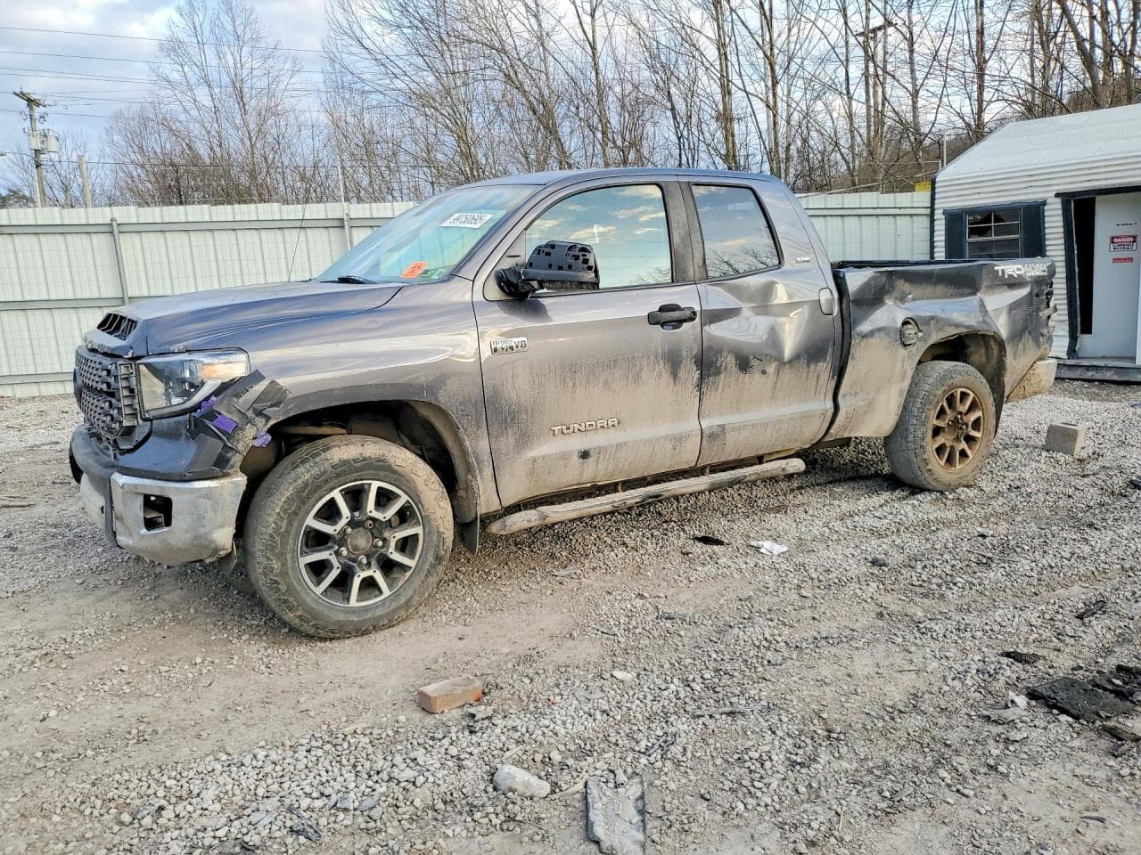 TUNDRA
