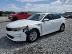 OPTIMA