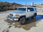 FJ CRUISER