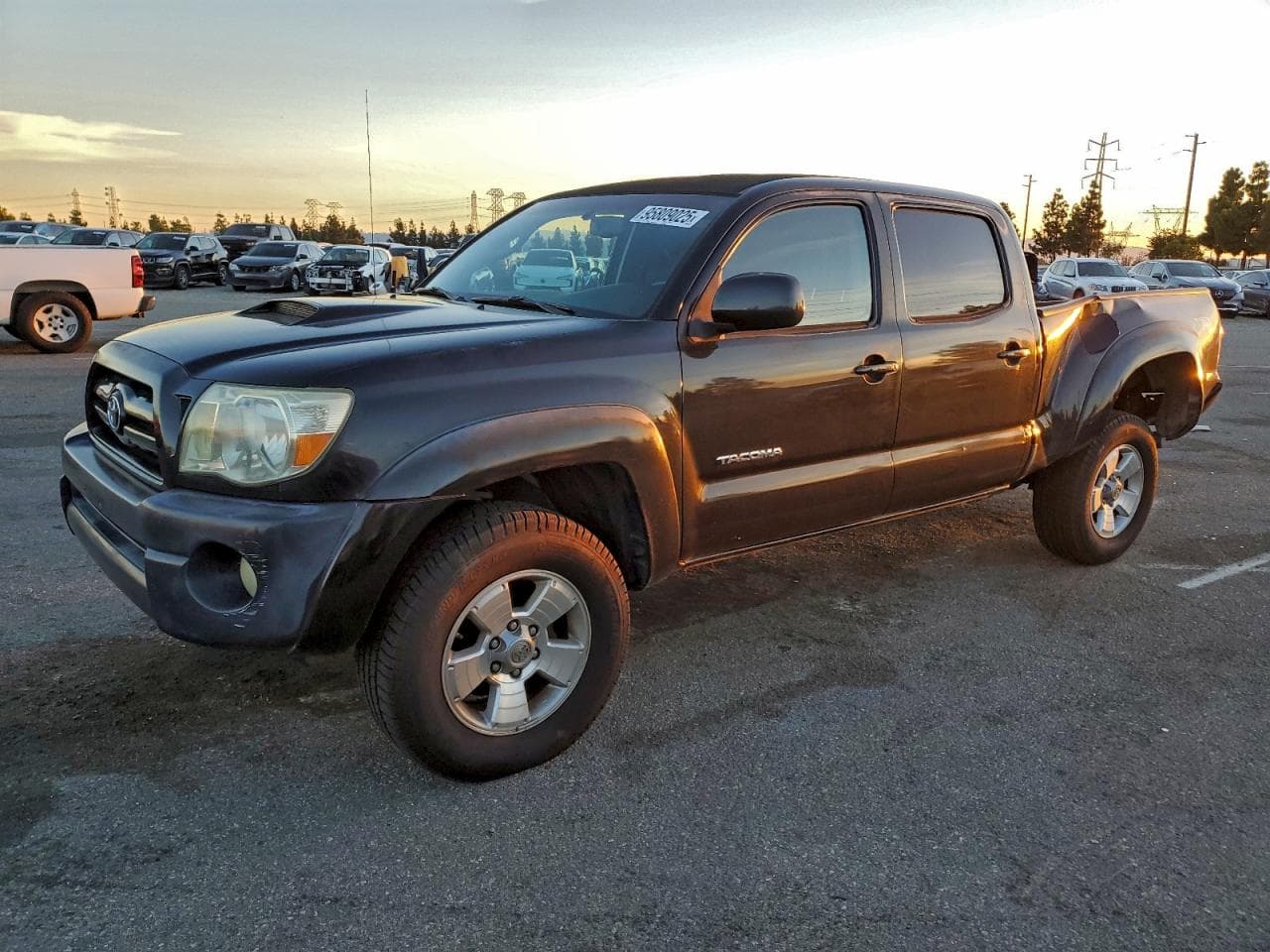TACOMA