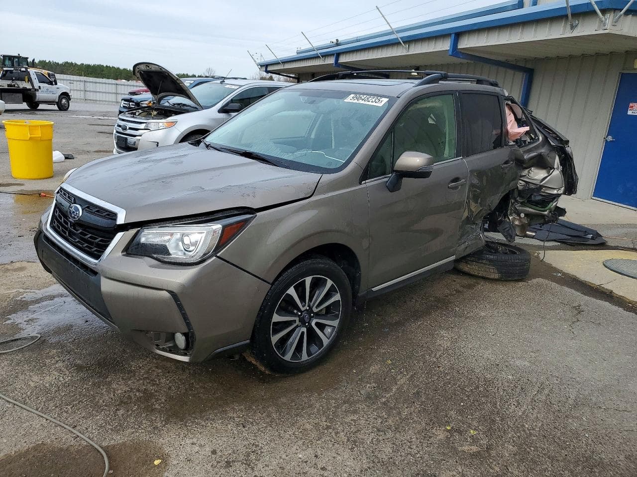 FORESTER