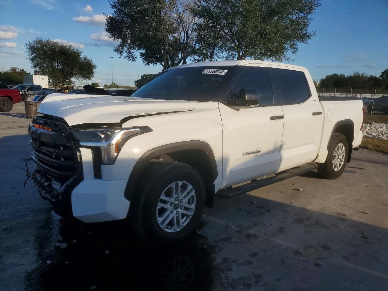 TUNDRA