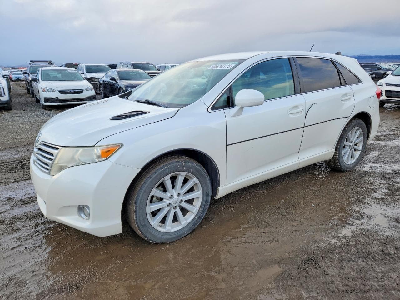 VENZA