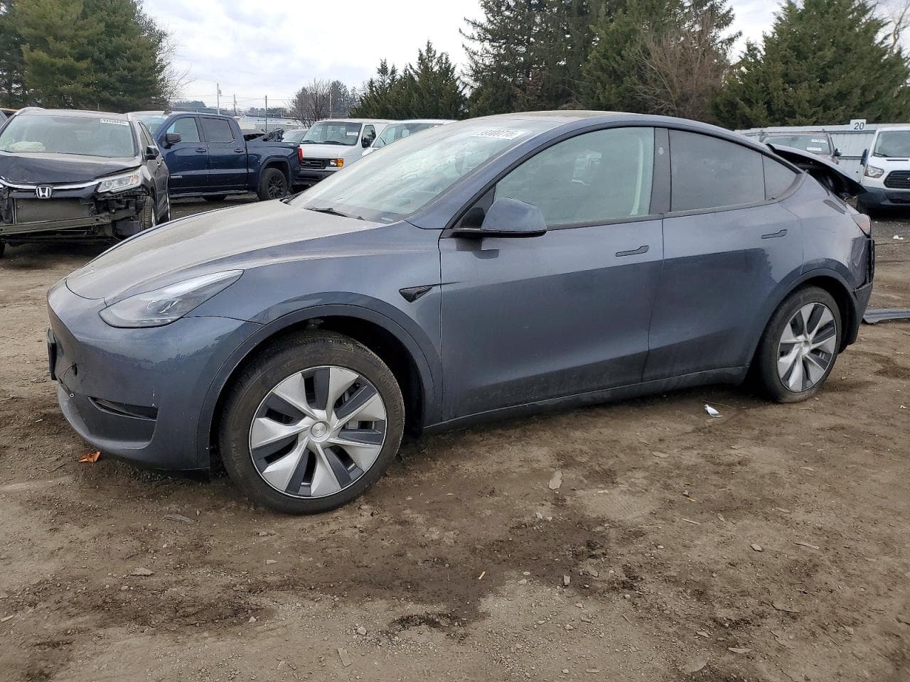 MODEL Y
