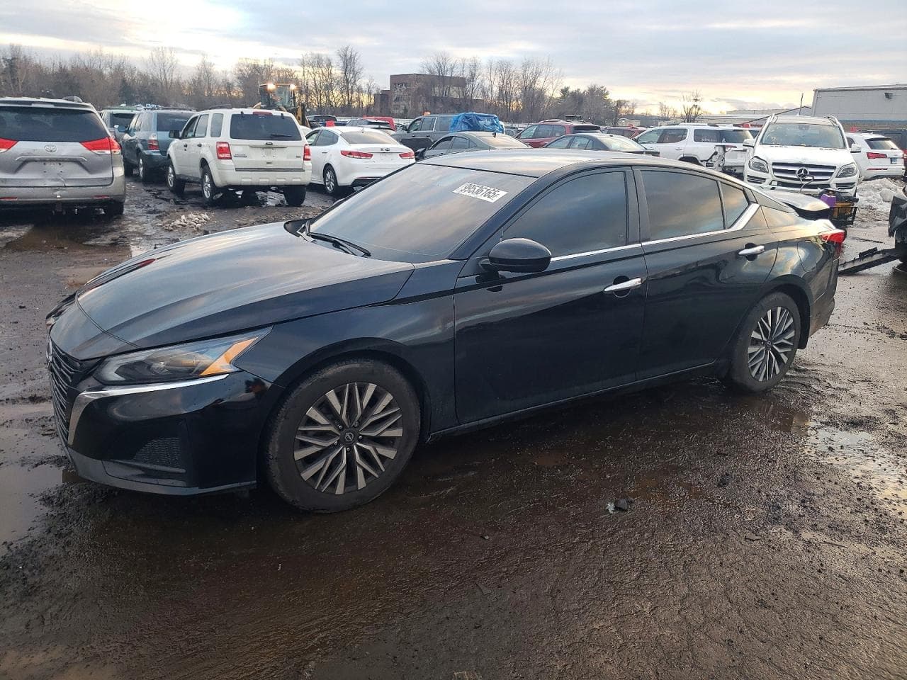 ALTIMA