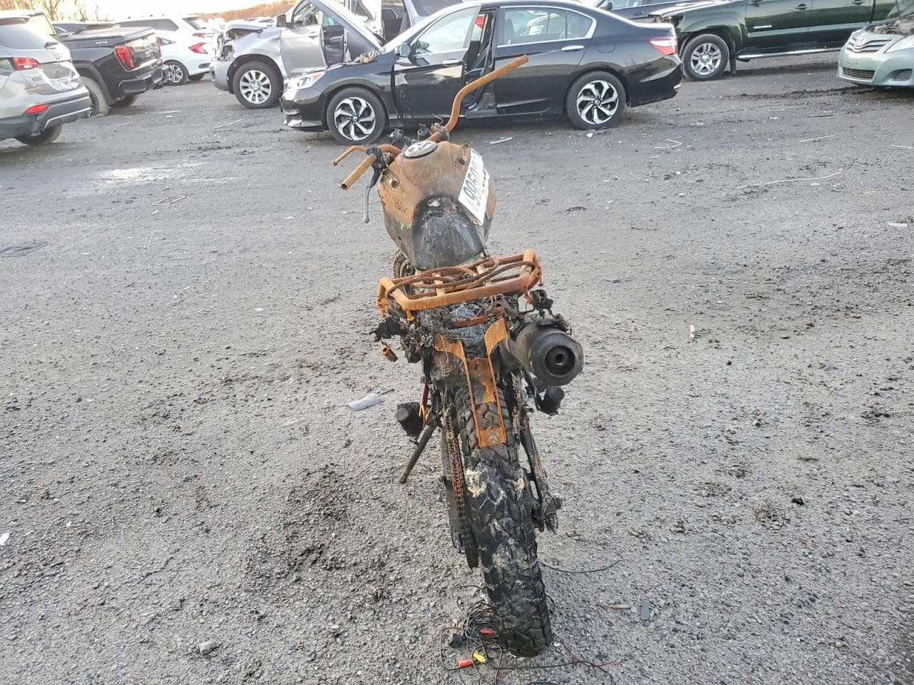 Foto 4
