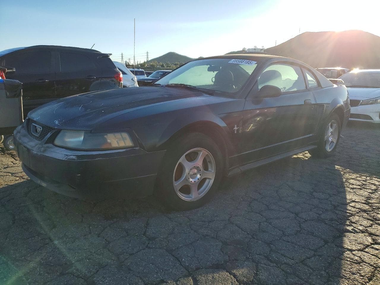 MUSTANG