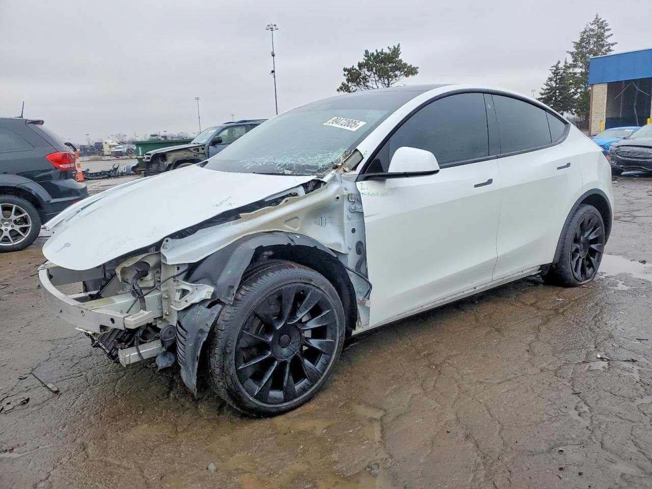 MODEL Y