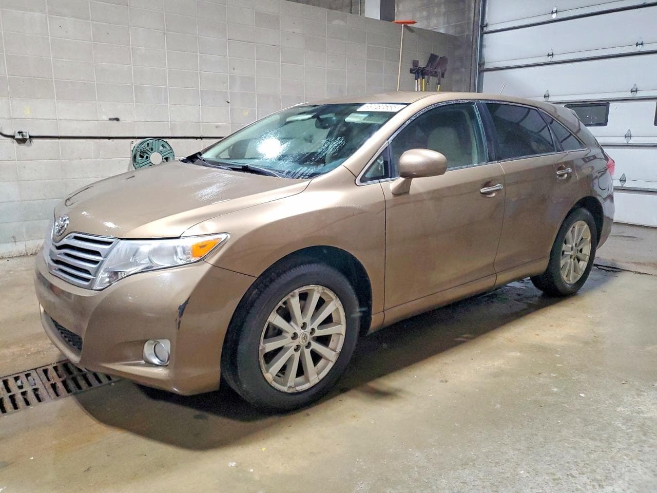 VENZA
