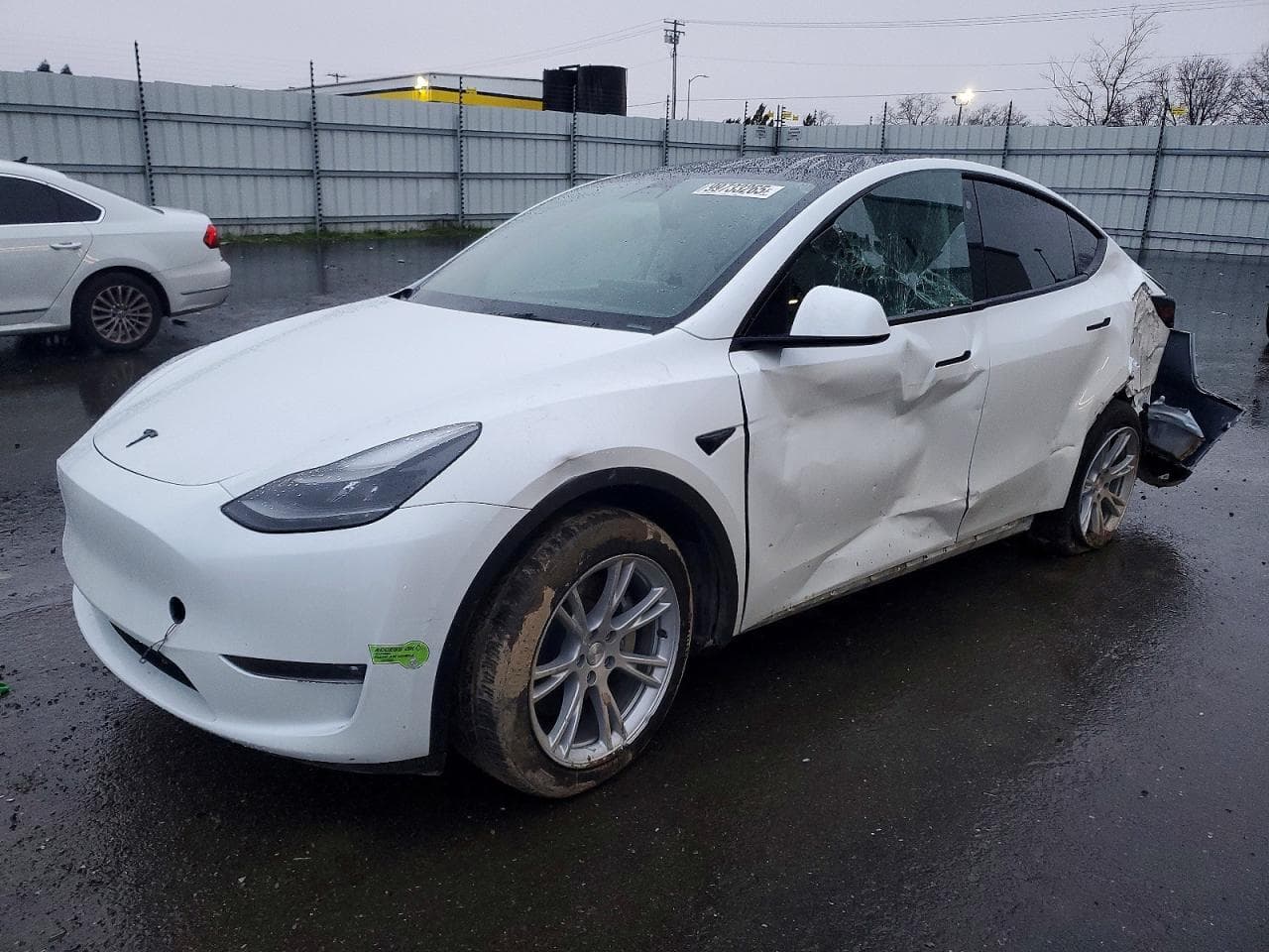 MODEL Y