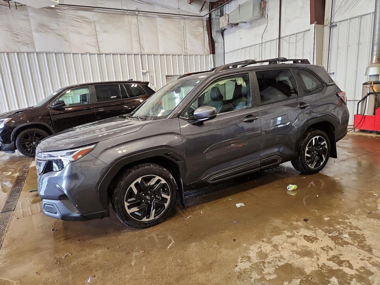 FORESTER
