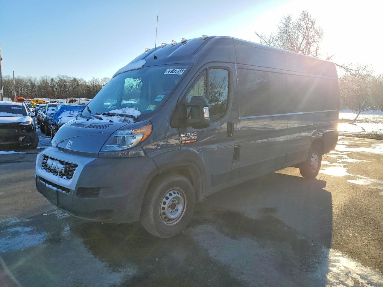 PROMASTER
