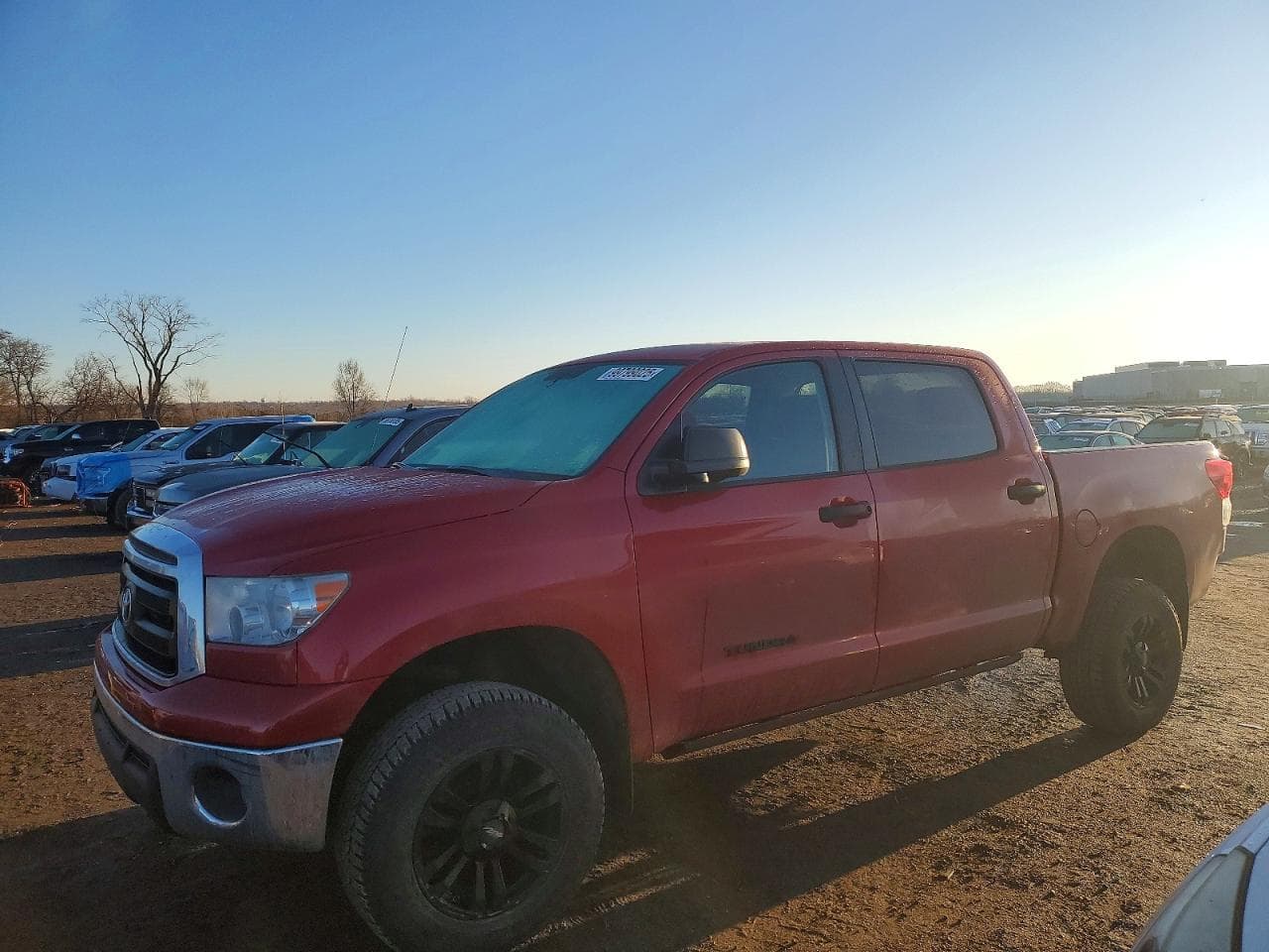 TUNDRA