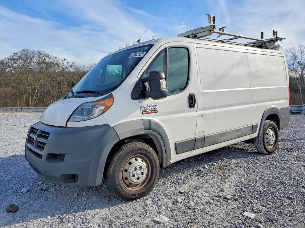 PROMASTER