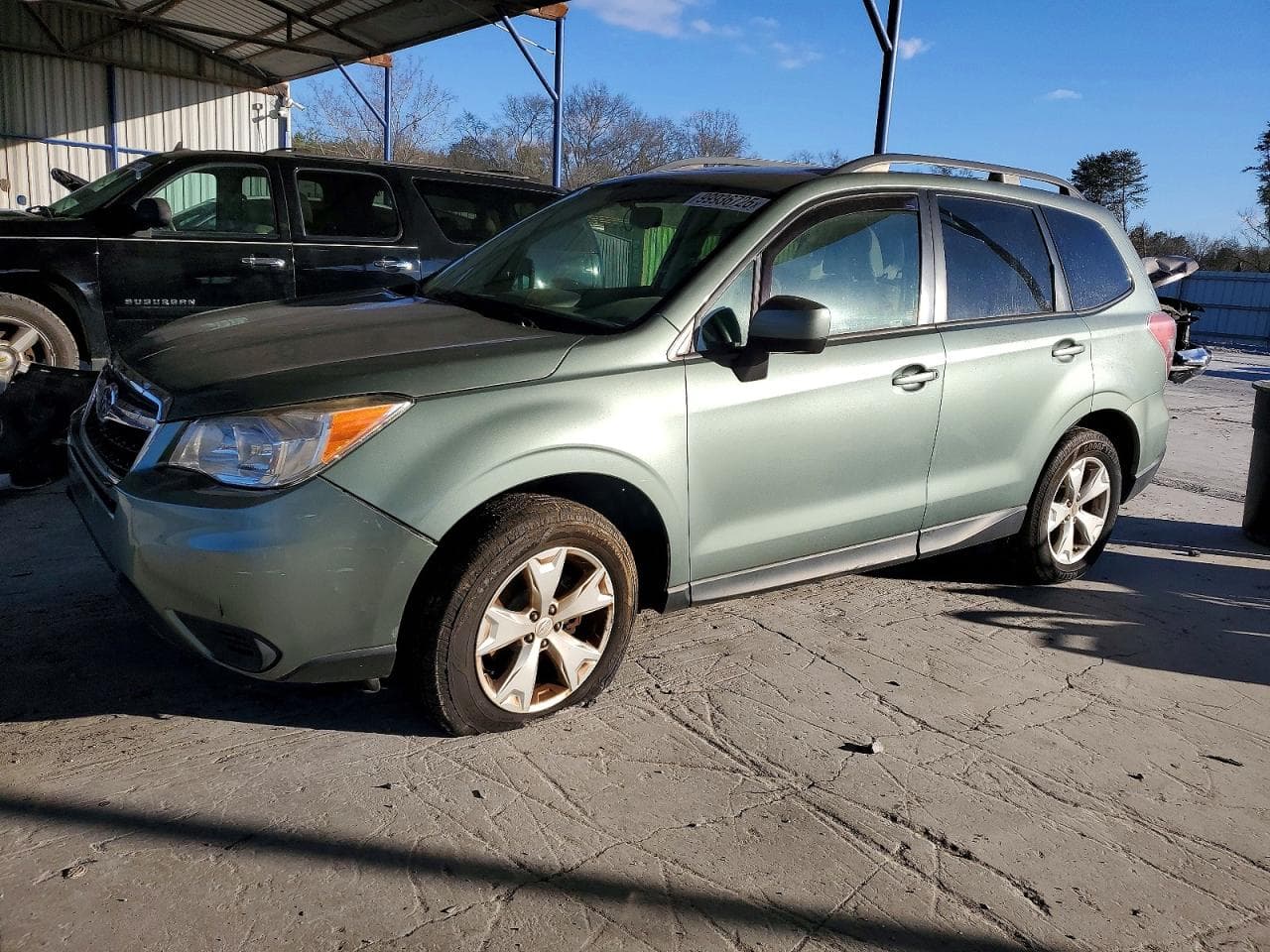 FORESTER