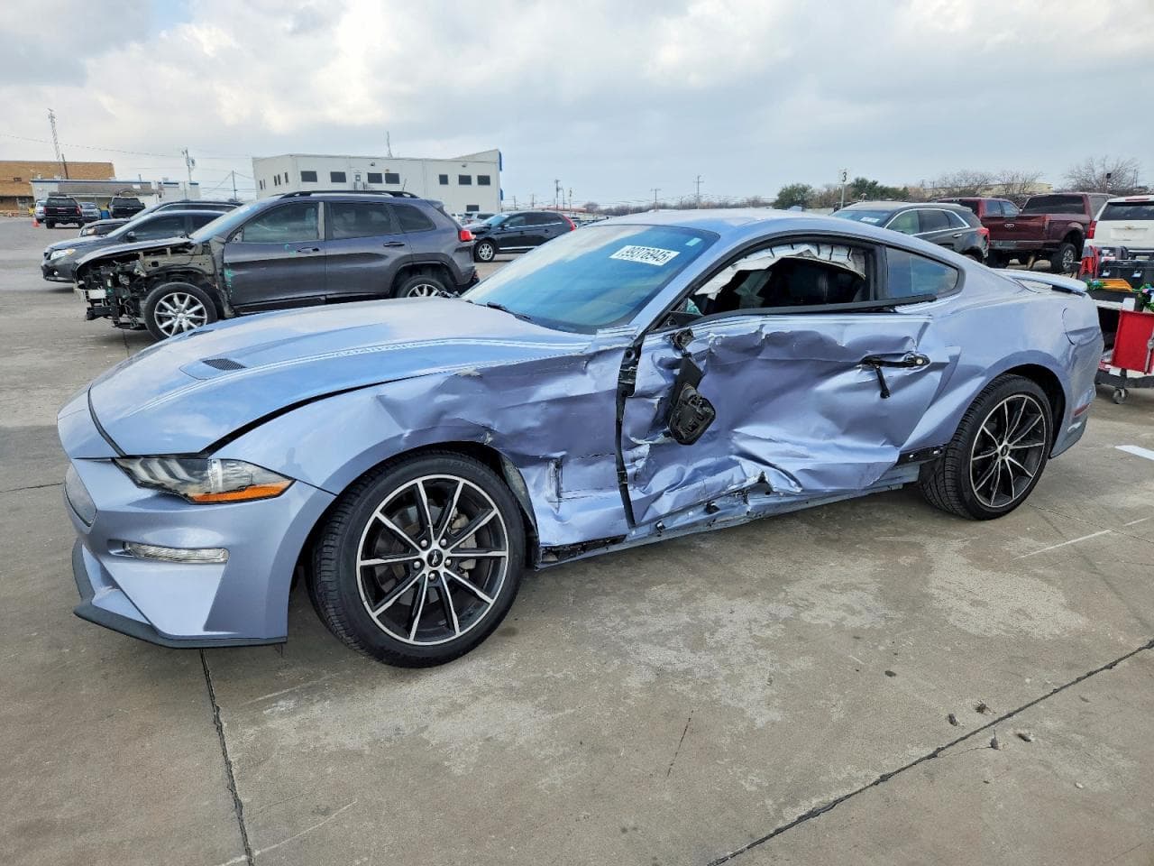 MUSTANG