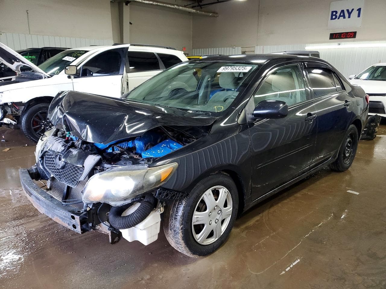 COROLLA